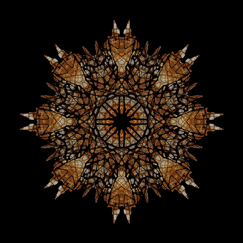 "Druid" - Limited Edition - Giclée Fine Art Print (Framed) by Gaire Kahika Tané