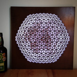 "Symbiosis" (lightbox) by Gaire Kahika Tané