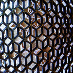 "Symbiosis" (lightbox) by Gaire Kahika Tané