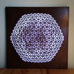 "Symbiosis" (lightbox) by Gaire Kahika Tané