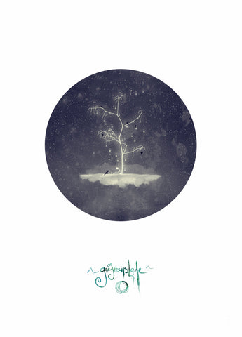 GIFT WITH PURCHASE: Gee Greenslade (Free Small, Framed Print valued at $40) - 10 only available