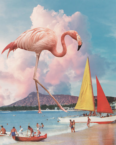 "Flamingo Playground" by Karen Lynch [Framed Archival print]
