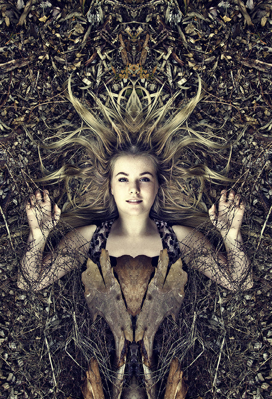 "Wood" by Leanne king at De La Liff