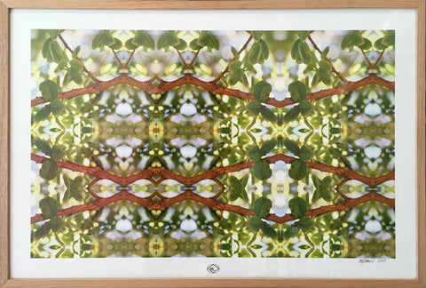 "Green Life" by Milly Pearce