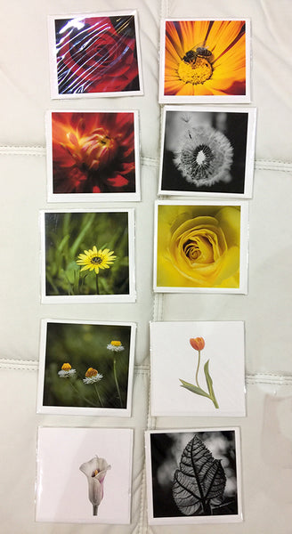 "Fine Art Cards" (Single image/Card) by Adam Durst