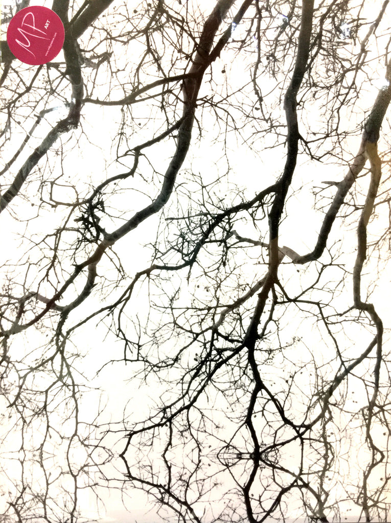 #Sale #Item "Mirrored Branches B/W)" by Milly Pearce (Fine Art Photograph)