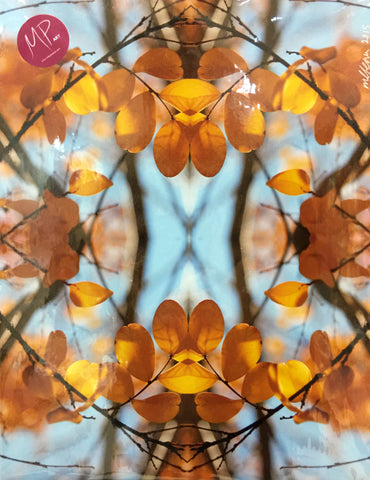 #Sale #Item "Mirrored branches (coloured)" by Milly Pearce (Fine Art Photograph)