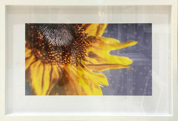 #sold "Sunny Days" by Adam Durst