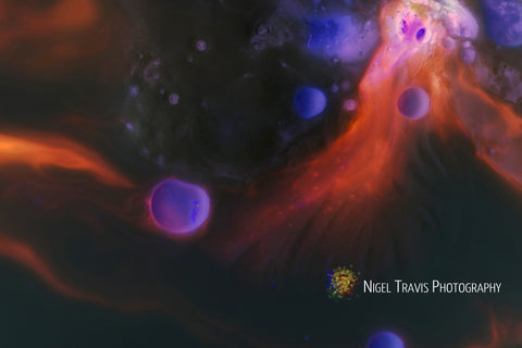"Journey through the Wormhole" by Nigel Travis